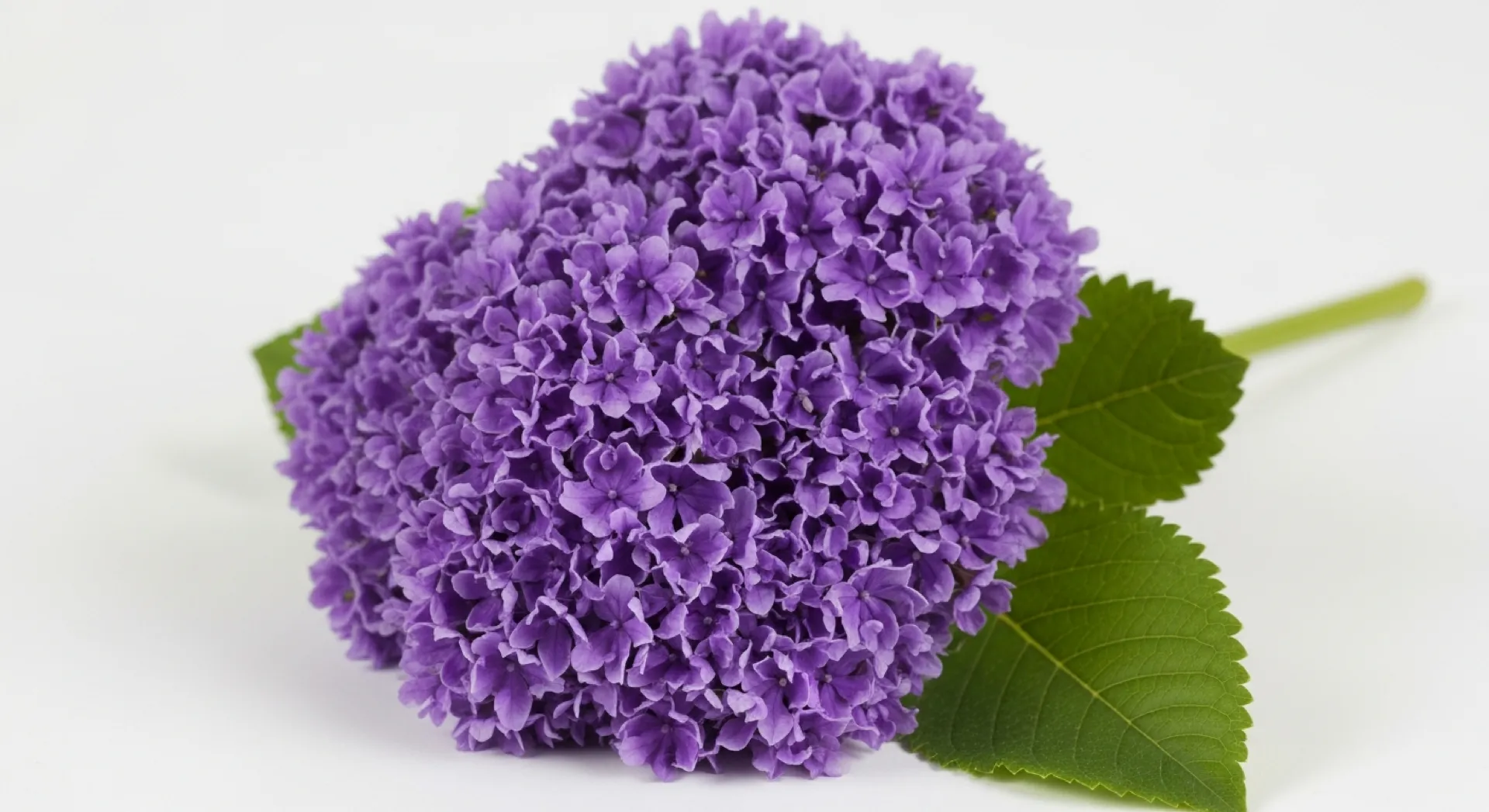 Vivre au Vietnam à la retraite : visa, budget et formalités en 2026