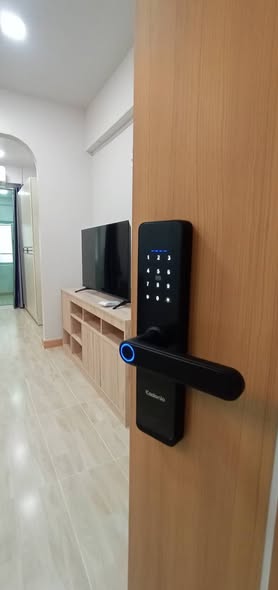 Condo 1 chambre 31m²