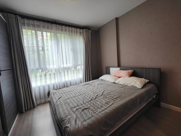 Condo 1 chambre vue jardin disponible 10 février - D Condo Ping