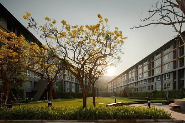 Condo de 30m² à 10,000 ฿/mois - CMU