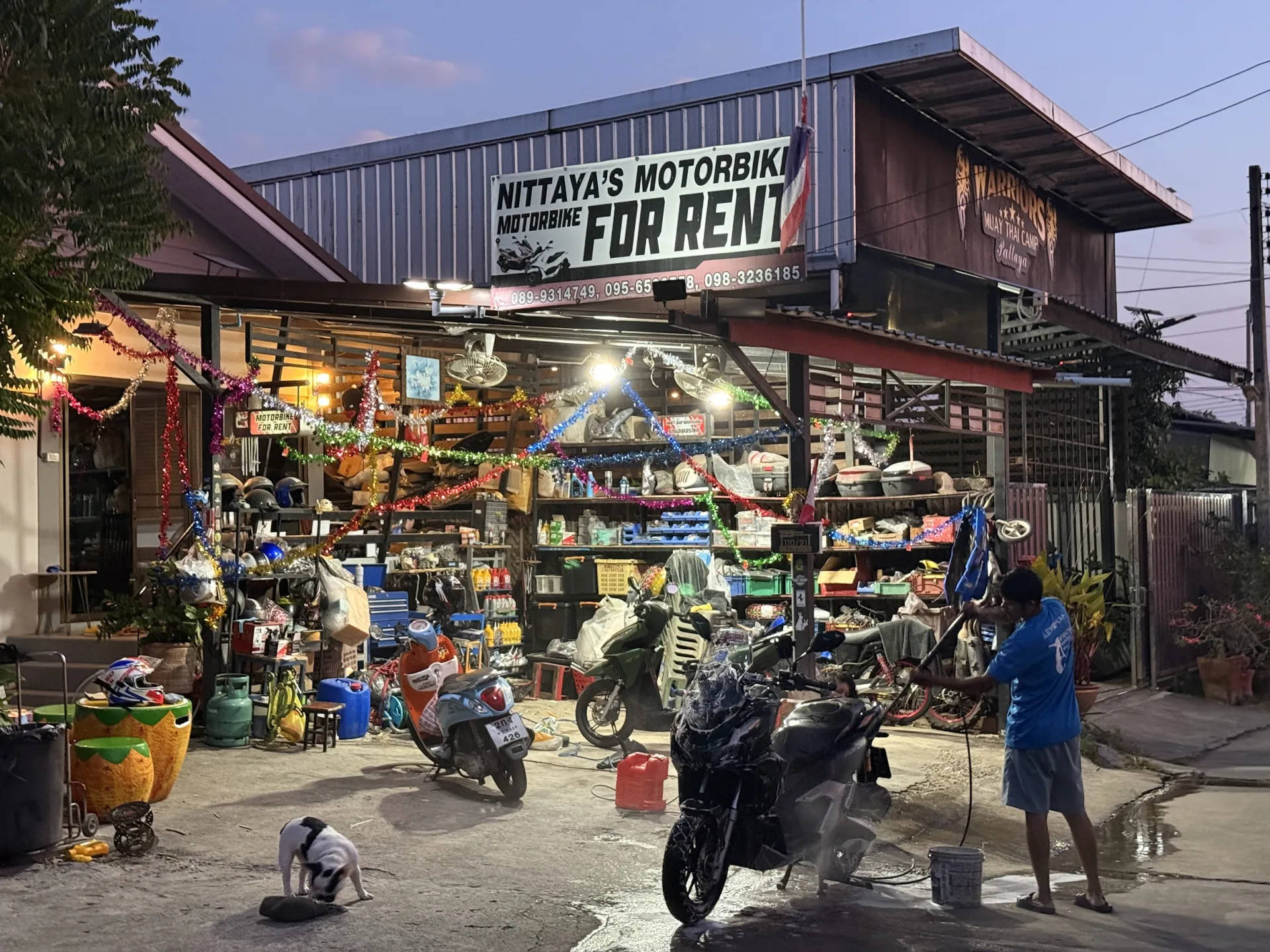 Nittaya's Motorbike - Location Scooter Pattaya Na Jomtien