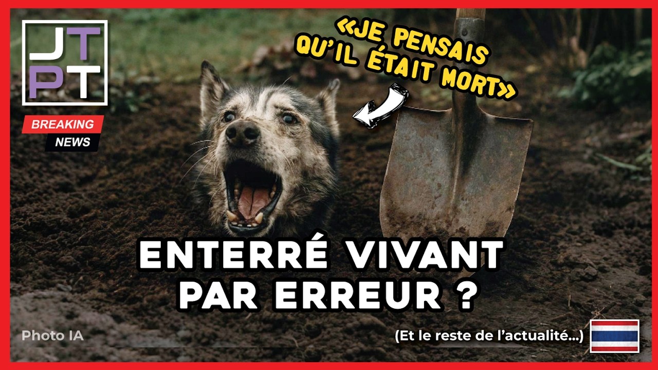 News Secrets: What You Need to Know About Thailand This Week